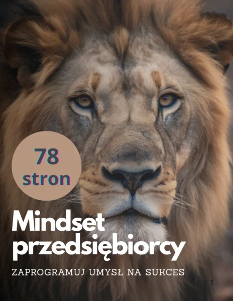 Mindset Przedsiębiorcy – Zaprogramuj umysł na sukces